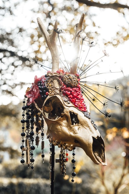 Crâne animal aux perles, plumes et ornements dorés — Geoffroy Mathieu